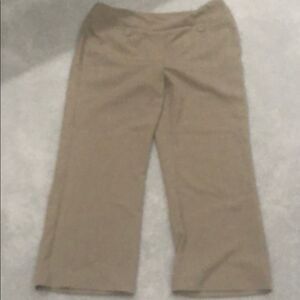 Dress barn size 12 P for petite pants